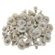 thumbnail image 1 of 100pcs Compatible Clips for Kangoo Trafic Primastar Opel Vivaro Traffic Side Moulding Lower Protector Door Tr, 1 of 5