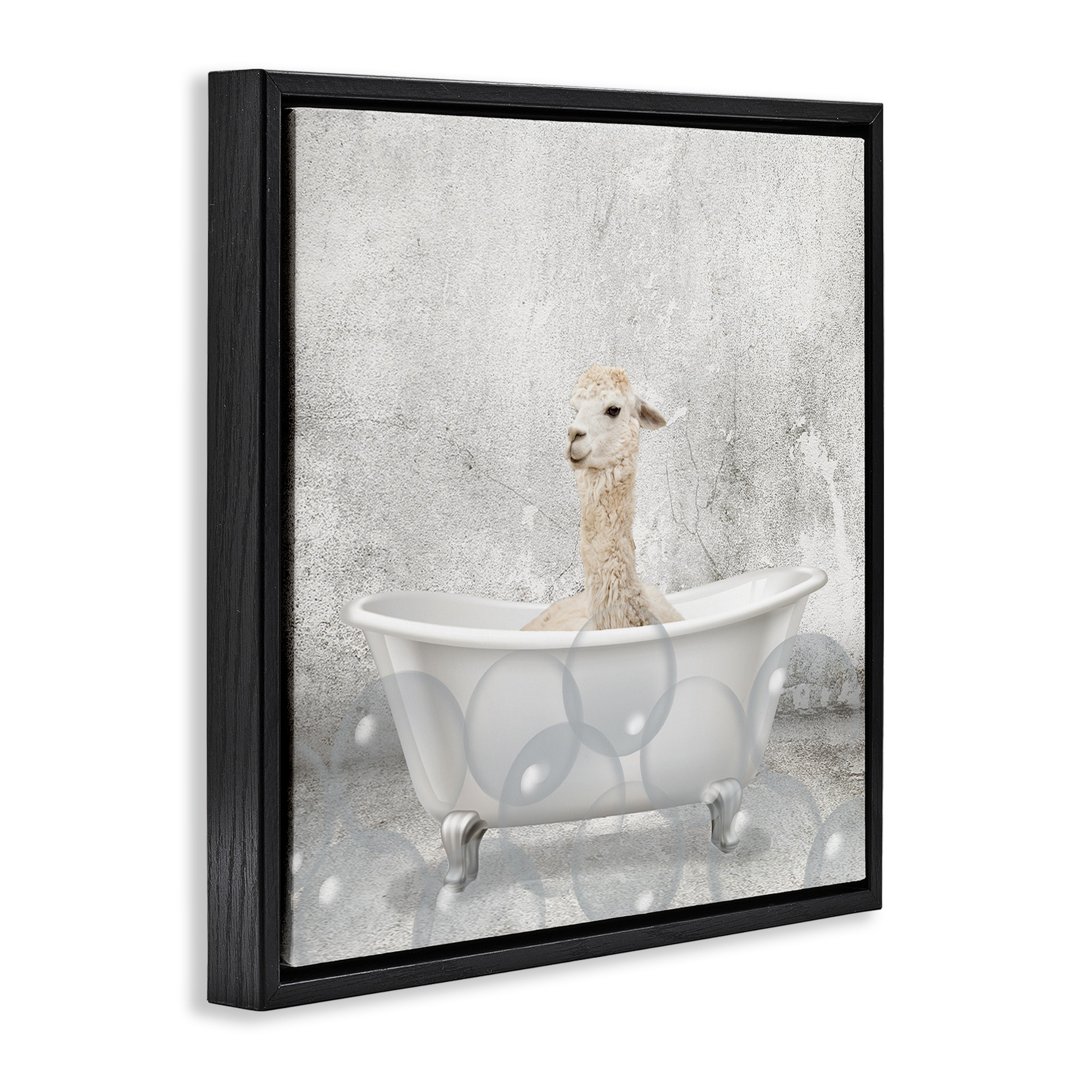 Stupell Industries Baby Llama Bath Time Animals & Insects Painting Black Floater Framed Canvas Art Print Wall Art, 18 x 18