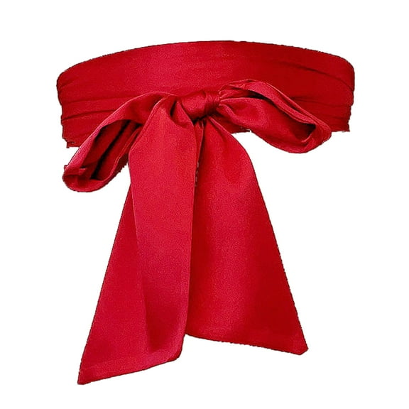 lixuesong Ribbon Waistband Wide Belt Women's Dress Bowknot Sash for Weddings and Parties 250cm Long Solid Color