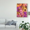 thumbnail image 3 of Trademark Fine Art 'Warm Abstract Floral I' Canvas Art by Karen Fields, 3 of 4