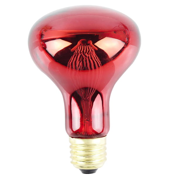 Bombilla Infrarroja R80, Bombilla Infrarroja Para Mascotas De 100W, Bombilla Infrarroja Que Proporciona Calor Con Flujo Luminoso De 300Lm, Boca De Tornillo E27 Para Mascotas En Interiores Speravity HA015075-00