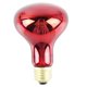 thumbnail image 1 of Bombilla Infrarroja R80, Bombilla Infrarroja Para Mascotas De 100W, Bombilla Infrarroja Que Proporciona Calor Con Flujo Luminoso De 300Lm, Boca De Tornillo E27 Para Mascotas En Interiores Speravity HA015075-00, 1 of 6
