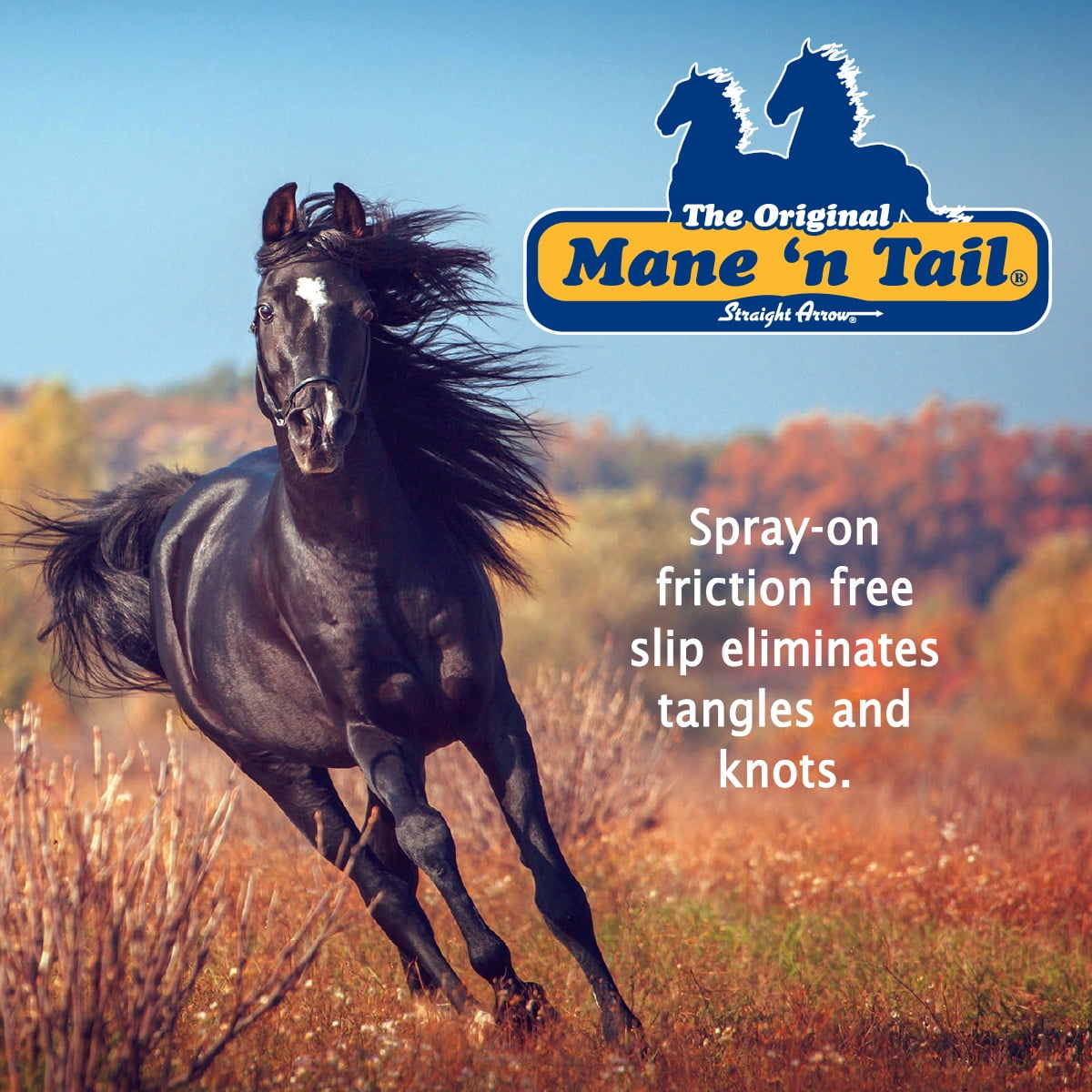 Mane and tail spray for dogs cheap