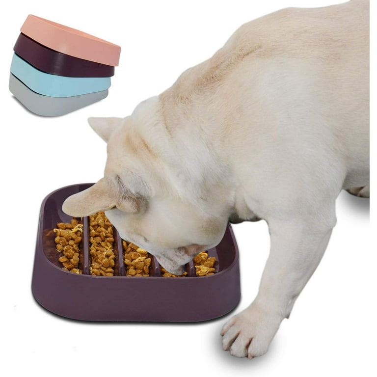 French bulldog slow feeder bowl hotsell
