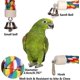 thumbnail image 3 of Pájaro Cuerda Percha Cómodo Algodón Espiral Bungee Columpio Escalada Escalera De Pie Para Jaula De Pájaros Loro Juguete Con Campana - Aespa. Afortunado Sencillez, 3 of 5