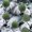 Green, variant on Deeceymbur 6 Pcs Versatile Flocked Christmas Balls Easy Hang Festive Tree & Event Decor Accents 3.15Inch