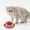 Pink, variant on Cat Bowl, Shallow Cat Food Dish, Cat Bowl Pet Food Bowls Water Feeding Plastic Basins, Wide Pet Food Plate for Kittens. Pink