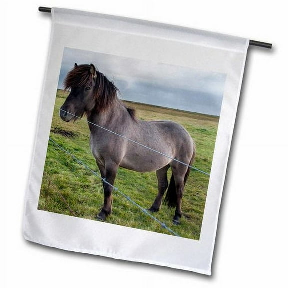 3dRose, ICELANDIC HORSE IN FIELD, 18 x 27 inch Garden Flag