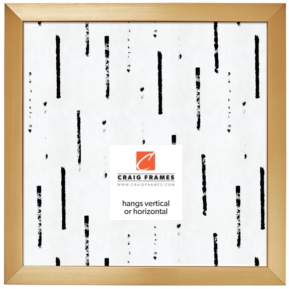 Craig Frames Modern Aesthetics 125, 24x24 inch Picture Frame, Gold