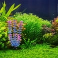 thumbnail image 4 of Plantas acuáticas artificiales de algas marinas Laklulu para acuario, decoraciones de plantas de plástico para peceras, 10 piezas, 4 of 5