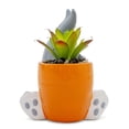 thumbnail image 3 of Looney Tunes Bugs Bunny 5-Inch Ceramic Mini Planter With Artificial Succulent, 3 of 8