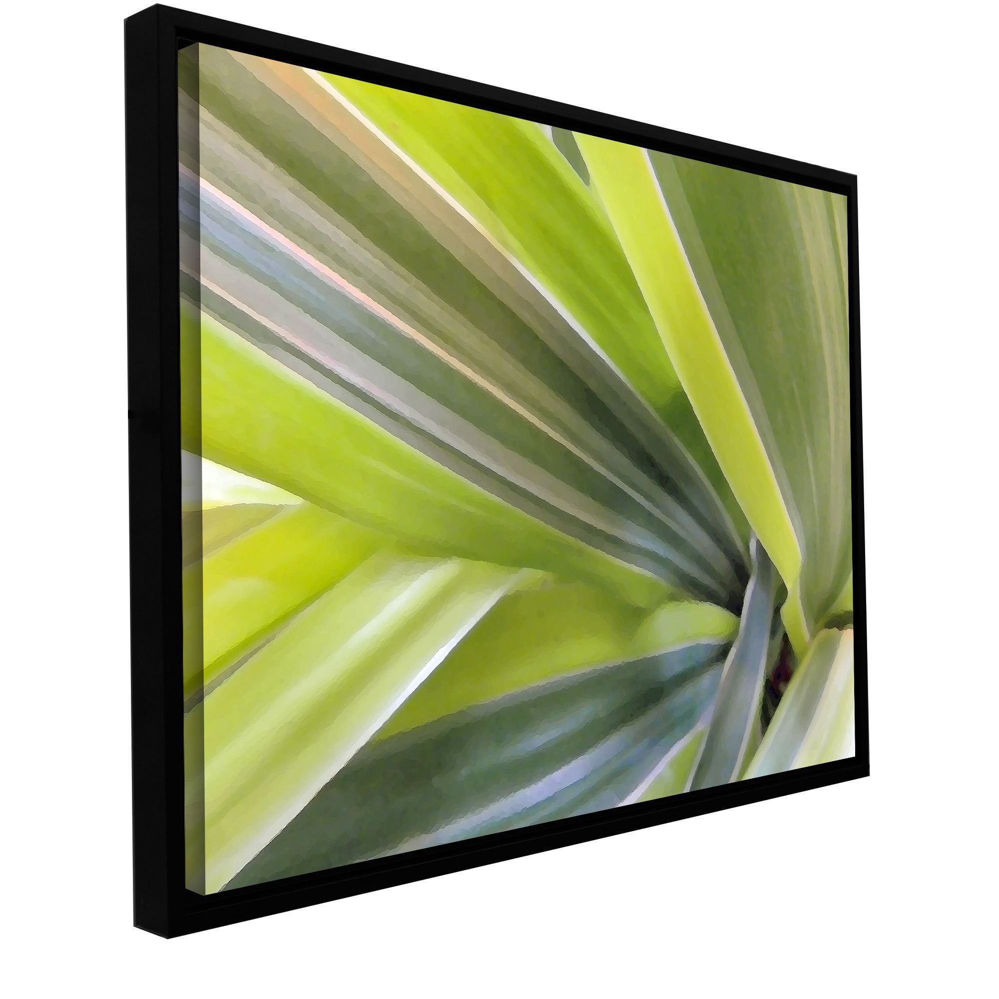 ArtWall Dean Uhlinger "Natural Selection 6" Floater Framed Gallery-Wrapped Canvas