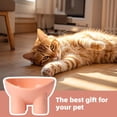thumbnail image 6 of Elevated Tilted Pet Bowl, Ergonomic Raised Feeding Dish For Small Dogs And Cats, Non-Slip Tilted Food Water Bowl, Raised Design For Comfortable Eating Posture, 6 of 7
