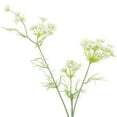 thumbnail image 3 of Mainstays Artificial Queen and Lace Long Stem, 3 of 5