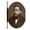 Canvas, variant on Art.com Reverand Charles Haddon Spurgeon, Pastor of the Metropolitan Tabernacle, 1880 Stretched Canvas Print Wall Art by Lock & Whitfield, 12" x 16"