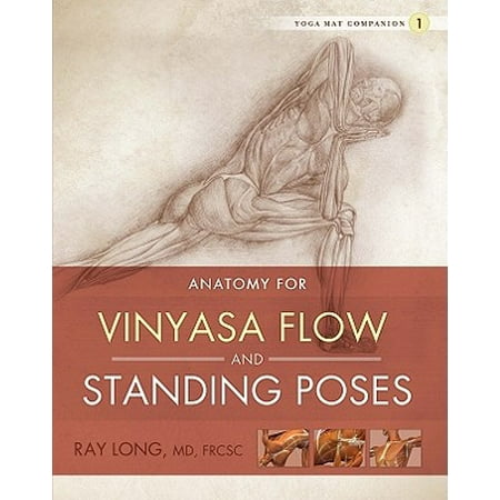 Anatomy for Vinyasa Flow and Standing Poses (Best Vinyasa Yoga Youtube)