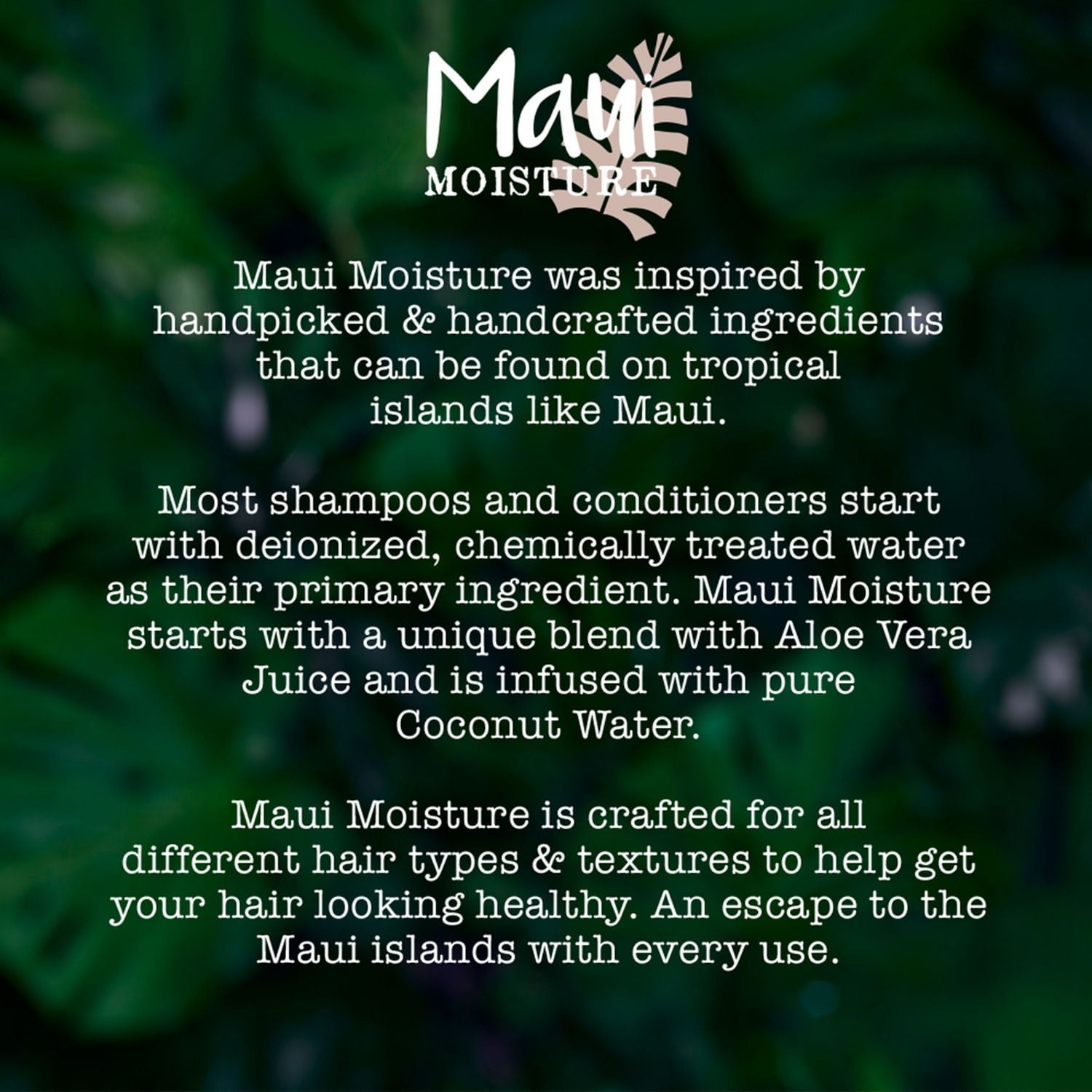 Maui Moisture Lightweight Hydration + Hibiscus Conditioner, 385 ml