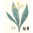 thumbnail image 3 of Smith, George 12x14 Black Modern Framed Museum Art Print Titled - Soft Tropical IV, 3 of 5