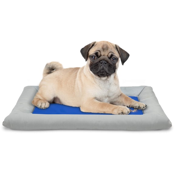 Arf Pets Self Cooling Pet Bed, Solid Gel Mat for Dogs and Cats, Foam Bolster, 20x30", Non-Toxic