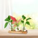 thumbnail image 4 of Terrario de propagación, decorativa de madera, contenedor de arreglos florales, jarrón de vidrio para mesa, oficina, patio, gabinete,, 4 of 9