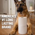 thumbnail image 4 of Scott 1000 Trusted Clean Toilet Paper, 32 Rolls, Septic-Safe, 1-Ply Toilet Tissue, 4 of 8