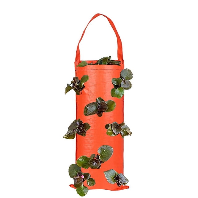Bolsa para plantas de pared, bolsa colgante para plantas, bolsa para cultivo de plantas, macetero de pared Vertical para interiores y exteriores para el hogar, la oficina y la jardinería doméstica con Sailing Electrónica