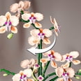 thumbnail image 3 of Champagne Orchid Flower Building Set, Icon Flowers Building Block Compatible with Lego, Stunning Botanical Display Gift for 8-14 Kids and Adults (866 Pcs), 3 of 6