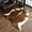 Khaki, variant on Junovo Faux Fur Cowhide Rug Cow Print Rugs for Living Room Bedroom,Soft Animal Print Carpet,4.6x5.2 Feet,Coffee