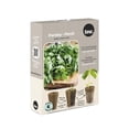 thumbnail image 1 of TASC Seed Plugs- Parsley (6/PKG), 1 of 1