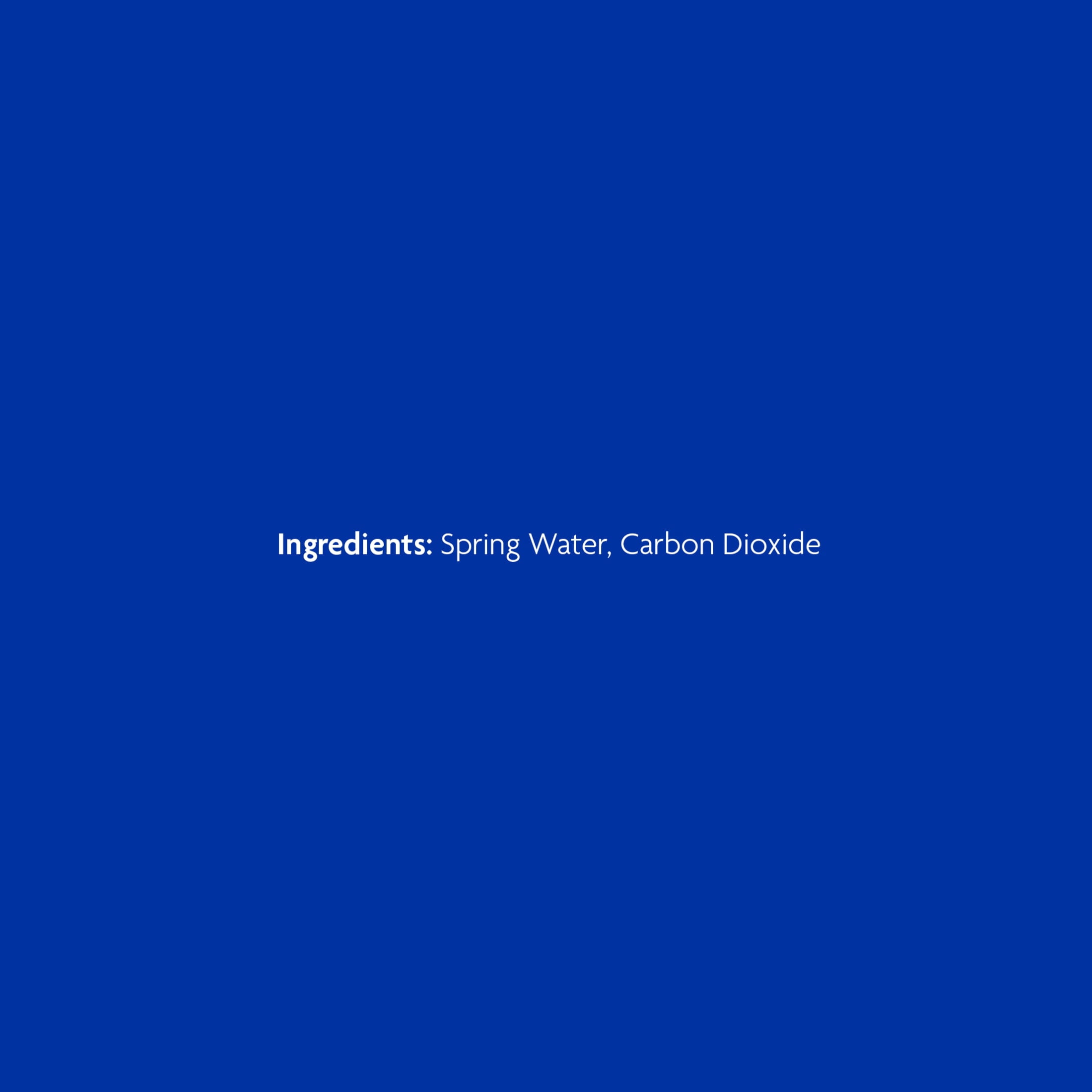 Saratoga Sparkling Spring Water, 28 Fl Oz, 12-Pack Plastic Bottles