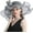 Gray, variant on Women Hats Organza Butterfly Decoration Wide Brim Occasion Event Derby Church Dress Sun Hat