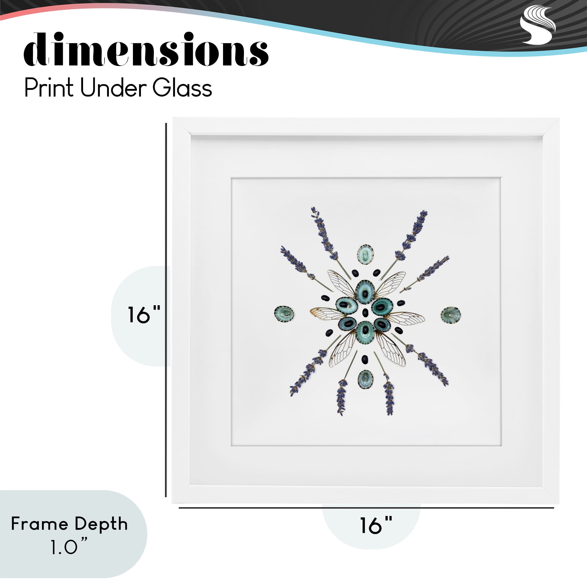 Stupell Industries Lavender & Delicate Wings White Framed Print Under Glass, design by Beth Adoette