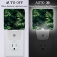 thumbnail image 2 of Tropical jungle palm fronds LED Square Night Lights - Modern and Versatile Plug-in Lighting Solution for Any Room - Energy Efficient and Stylish Illumination, 2 of 6
