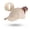 w93# Beige1705, variant on Wuxian Sun Hats For Women Baseball Tennis Caps Solid Color Upf50  Running Golf Sports Quick Dry Mesh Patchwork Classic Unisex Cap Adjustable Strap Breathable Trucker Mens Hat,Beige,One Size