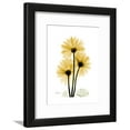 thumbnail image 6 of Golden Gerbera, Botanical Seasons Framed Art Print Wall Art by Albert Koetsier, 6 of 6