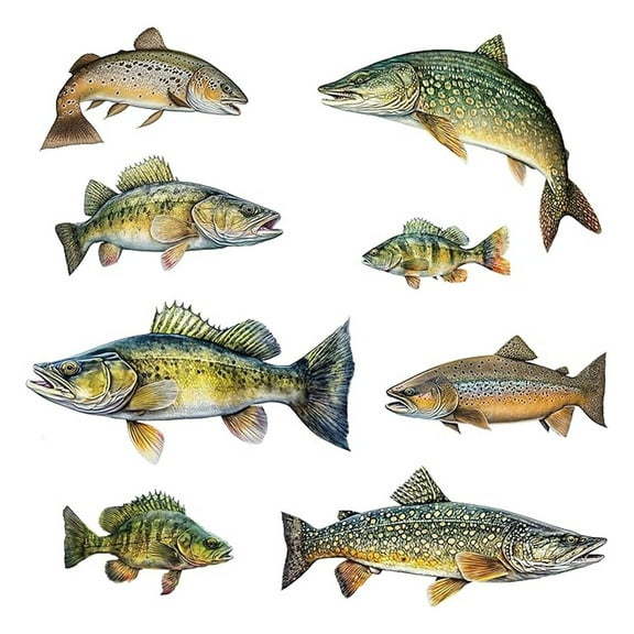 Fish Wall Decals - Brown Trout, Walleye, Yellow Perch, Northern Pike - Wall Stickers - Fly Fishing Decor