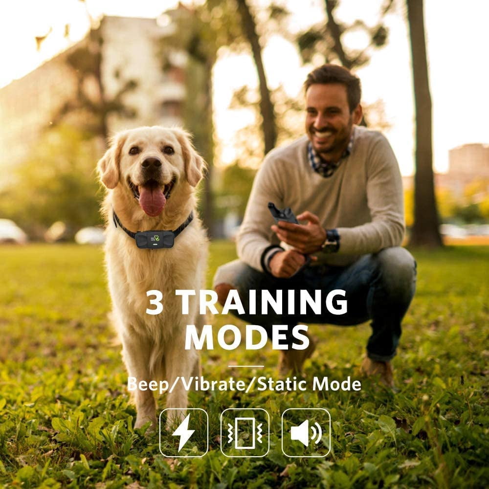DogCare Dog Training Collar - Rechargeable Dog Shock Collar with Beep, Vibration and Shock Training Modes for Dogs with Remote