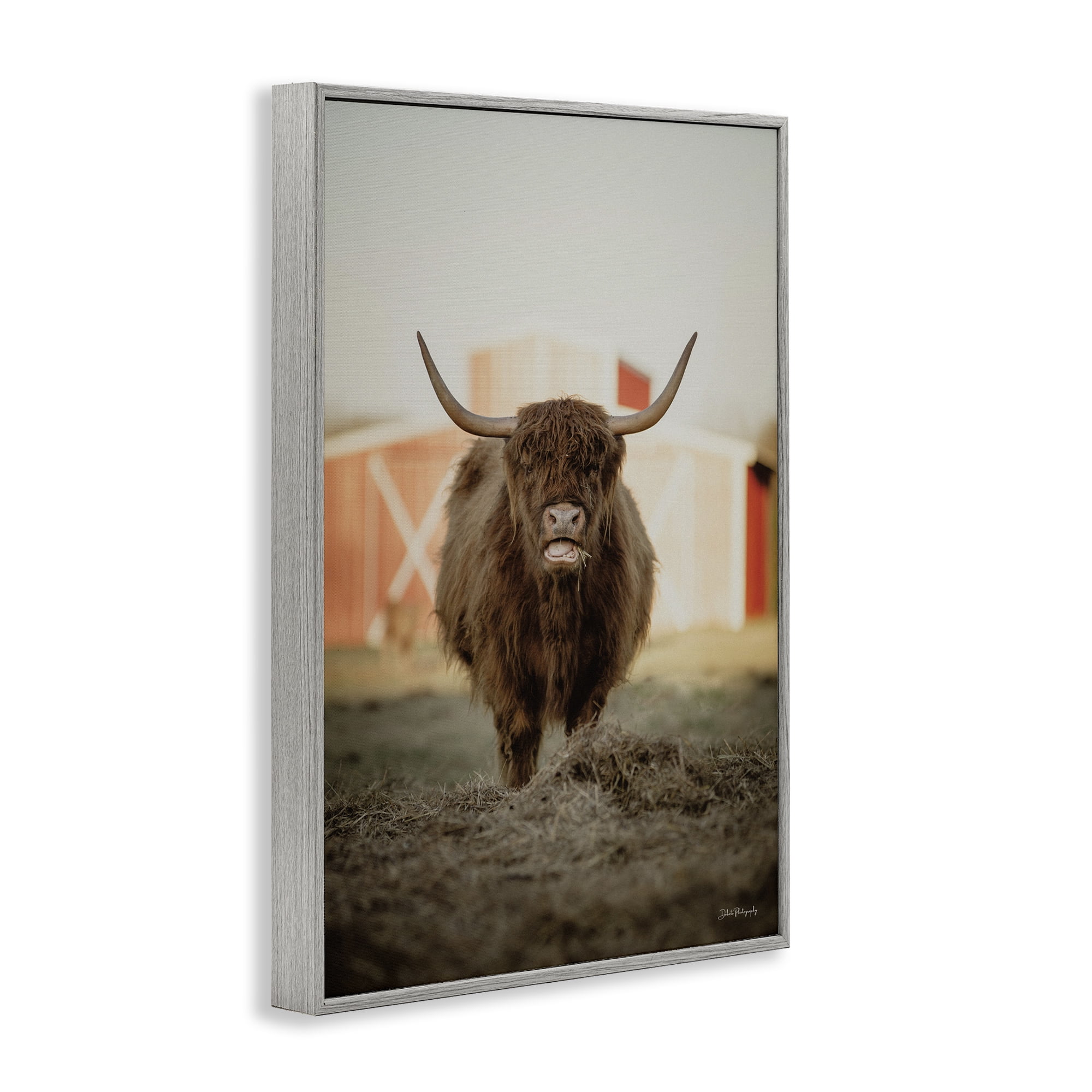 Stupell Industries Cattle on Farm Field Animals & Insects Photography Gray Framed Art Print Wall Art, 12 x 18