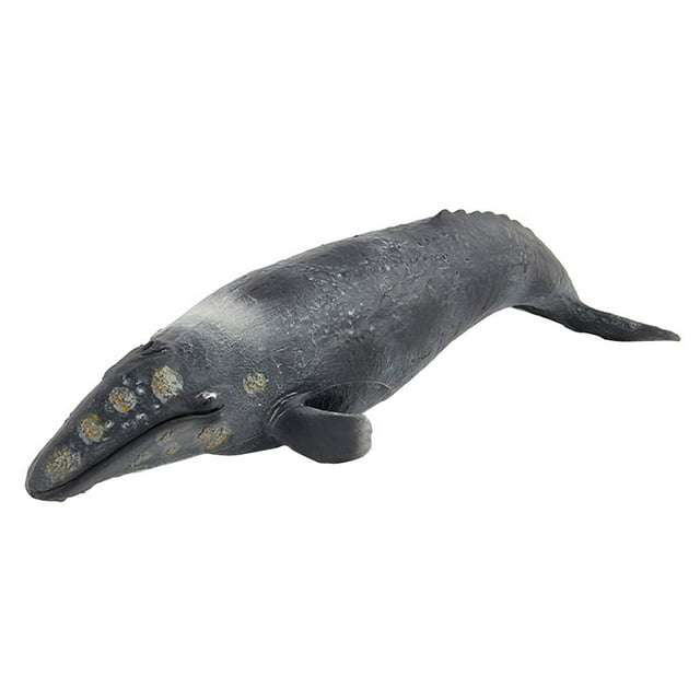 Lifelike Shaped Toy Realistic Motion Animal Model for Kids Bead Alphabet Matching Board Counters for Kids Math 100 100s Chart Cat Game Toddler Sensory for Toddlers 3-4 Big Worm on A String Hand Games