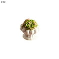 thumbnail image 6 of Doll House Miniature Mini Potted Plants Model Fairy Garden Decoration Ornaments, 6 of 8