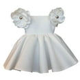 thumbnail image 1 of EDFBUYKRS Kids Toddler Baby Girls Spring Summer Flower Short Sleeve Party Dress Clothes, 1 of 3