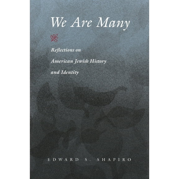Modern Jewish History We Are Many: Reflections on American Jewish History and Identity, (Paperback)