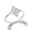 White Gold, variant on Gold Wiccan Witch Knot Pagan Cubic Zirconia Ring (14K White Gold,Size 6)