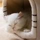 thumbnail image 3 of HOOPET New Style Dog House Double Roof Animal Shape House for Cats Small Dogs Pet Comfortable Sleeping Bed Cat Nest Bed Supplies ShopWise Round, 3 of 23