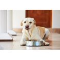 thumbnail image 3 of Van Ness Non Tip Large Stainless Steel Dog Bowl, 64oz, 3 of 6