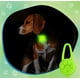 thumbnail image 3 of Collar de seguridad LED nocturno para perro de silicona de una pieza (verde) - 6,4 cm, 3 of 5