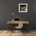 thumbnail image 3 of Allen, Kimberly 20x20 White Modern Wood Framed Museum Art Print Titled - Propeller A - top left, 3 of 4