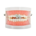 thumbnail image 2 of Unique Bargains 1 Pc Fake Grills Hip Hop Style Single Teeth Grillz Silver Tone, 2 of 6