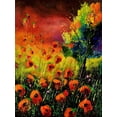 thumbnail image 2 of Art.com Red Poppies 451130 Art Print by Pol Ledent, 12" x 16", 2 of 4
