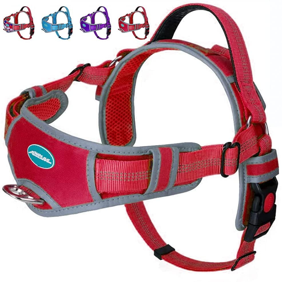 Can A Dog Slip Out Of A Harness